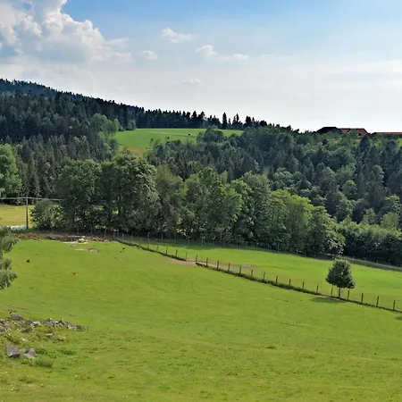 With Panoramic View Appartamento Waldkirchen