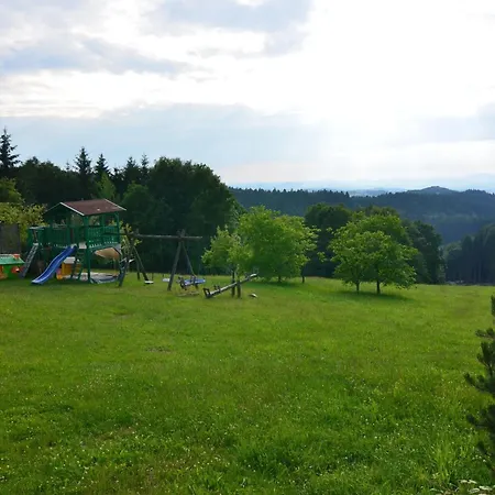 With Panoramic View Waldkirchen