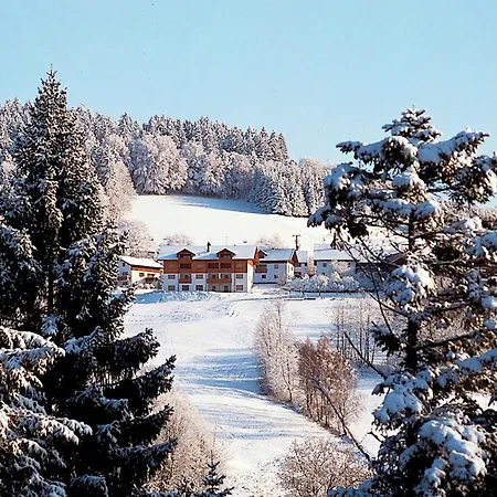 Geraeumige In Stocking In Waldnaehe *