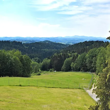 Geraeumige In Stocking In Waldnaehe Waldkirchen